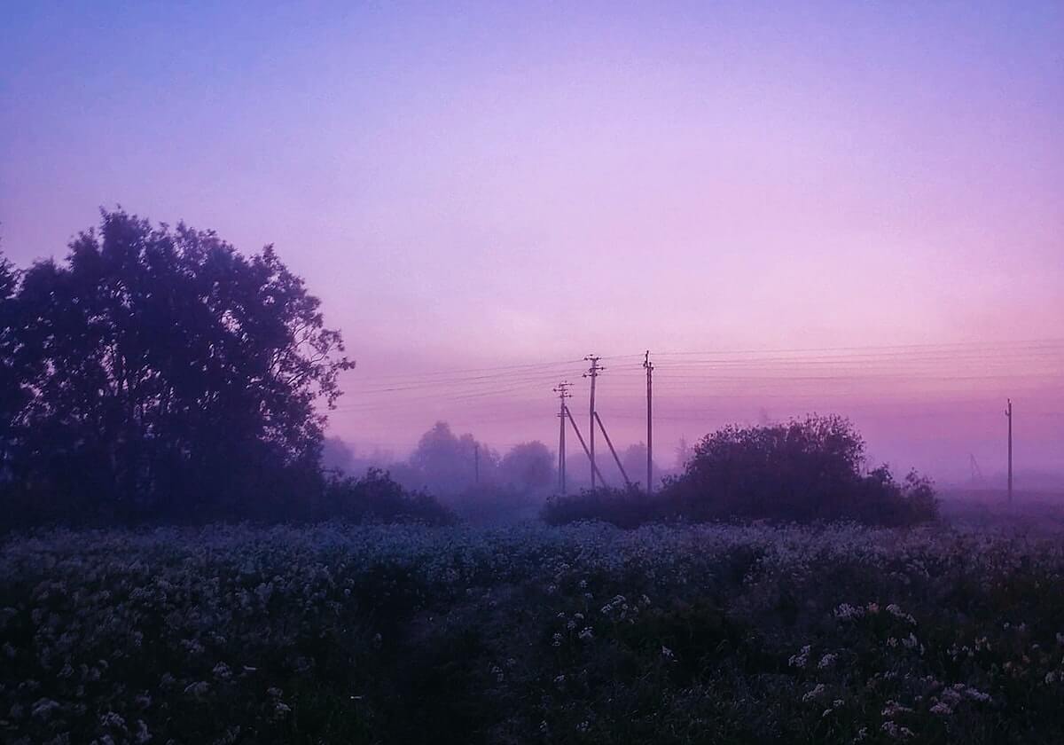 乐鱼中国体育：引领全民运动新时代